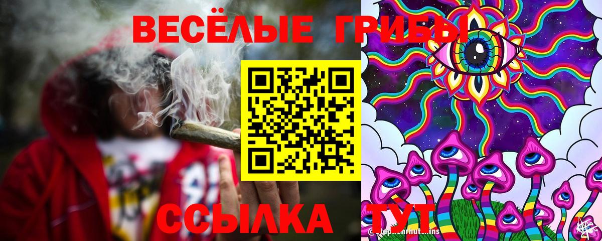 Галлюциногенные грибы GOLDEN TEACHER Вязьма