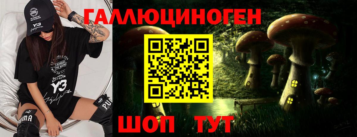 купить наркоту  Псилоцибиновые грибы MAGIC MUSHROOMS  Вход с VPN  Вязьма 
